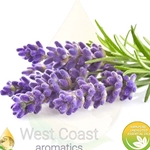 LAVENDER OFFICINALIS 40/42 pure essential oil. Shop West Coast Aromatics Bulk, Wholesale at www.westcoastaromatics.com from reputable sources in the world. Try today. You'll Immediately Notice the Difference! ✓60 Day-Money Back.