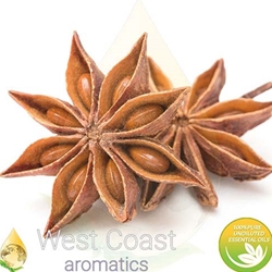 ANISE STAR pure essential oil. Shop West Coast Aromatics Bulk, Wholesale at www.westcoastaromatics.com from reputable sources in the world. Try today. You'll Immediately Notice the Difference! ✓60 Day-Money Back.