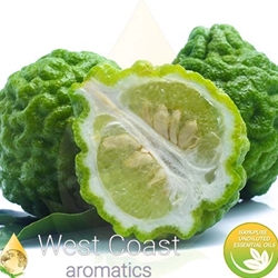 BERGAMOT pure essential oil. Shop West Coast Aromatics Bulk, Wholesale at www.westcoastaromatics.com from reputable sources in the world. Try today. You'll Immediately Notice the Difference! ✓60 Day-Money Back.