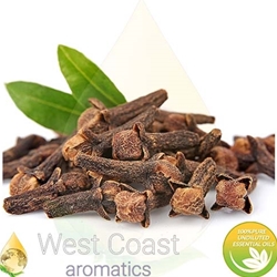 CLOVE BUD pure essential oil. Shop West Coast Aromatics Bulk, Wholesale at www.westcoastaromatics.com from reputable sources in the world. Try today. You'll Immediately Notice the Difference! ✓60 Day-Money Back.