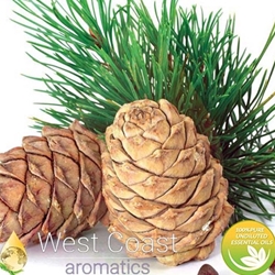 CEDARWOOD ATLAS pure essential oil. Shop West Coast Aromatics Bulk, Wholesale at www.westcoastaromatics.com from reputable sources in the world. Try today. You'll Immediately Notice the Difference! ✓60 Day-Money Back.
