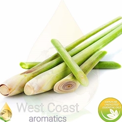 LEMONGRASS pure essential oil. Shop West Coast Aromatics Bulk, Wholesale at www.westcoastaromatics.com from reputable sources in the world. Try today. You'll Immediately Notice the Difference! ✓60 Day-Money Back.