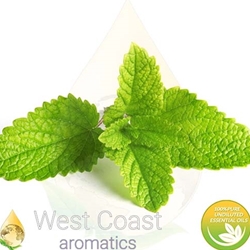 MELISSA BLEND pure essential oil. Shop West Coast Aromatics Bulk, Wholesale at www.westcoastaromatics.com from reputable sources in the world. Try today. You'll Immediately Notice the Difference! ✓60 Day-Money Back.