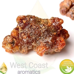 MYRRH pure essential oil. Shop West Coast Aromatics Bulk, Wholesale at www.westcoastaromatics.com from reputable sources in the world. Try today. You'll Immediately Notice the Difference! ✓60 Day-Money Back.