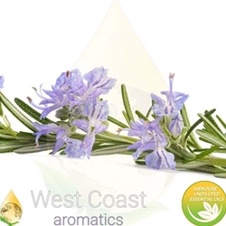 ROSEMARY pure essential oil. Shop West Coast Aromatics Bulk, Wholesale at www.westcoastaromatics.com from reputable sources in the world. Try today. You'll Immediately Notice the Difference! ✓60 Day-Money Back.