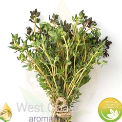 RED THYME pure essential oil. Shop West Coast Aromatics Bulk, Wholesale at www.westcoastaromatics.com from reputable sources in the world. Try today. You'll Immediately Notice the Difference! ✓60 Day-Money Back.