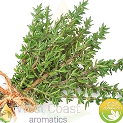 WHITE THYME pure essential oil. Shop West Coast Aromatics Bulk, Wholesale at www.westcoastaromatics.com from reputable sources in the world. Try today. You'll Immediately Notice the Difference! ✓60 Day-Money Back.