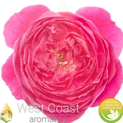 ROSE DAMASK absolute essential oil. Shop West Coast Aromatics Bulk, Wholesale at www.westcoastaromatics.com from reputable sources in the world. Try today. You'll Immediately Notice the Difference! ✓60 Day-Money Back.