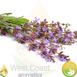 CLARY SAGE Floral Water. Shop West Coast Aromatics Bulk, Wholesale at www.westcoastaromatics.com from reputable sources in the world. Try today. You'll Immediately Notice the Difference! ✓60 Day-Money Back.