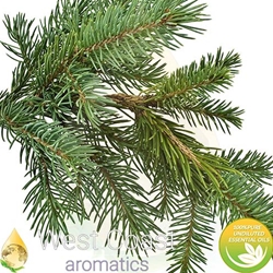 FIR NEEDLE Floral Water. Shop West Coast Aromatics Bulk, Wholesale at www.westcoastaromatics.com from reputable sources in the world. Try today. You'll Immediately Notice the Difference! ✓60 Day-Money Back.