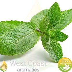 PEPPERMINT Floral Water. Shop West Coast Aromatics Bulk, Wholesale at www.westcoastaromatics.com from reputable sources in the world. Try today. You'll Immediately Notice the Difference! ✓60 Day-Money Back.