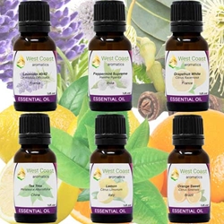 SAMPLER PACK 6 Must Have Essential Oils. Shop West Coast Aromatics Bulk, Wholesale at www.westcoastaromatics.com from reputable sources in the world. Try today. You'll Immediately Notice the Difference! ✓60 Day-Money Back.