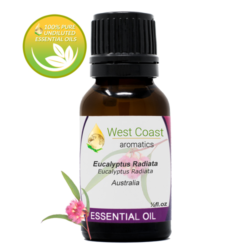 Essential-Oil_Eucalyptus-Radiata_Australia_1-2oz.jpg
