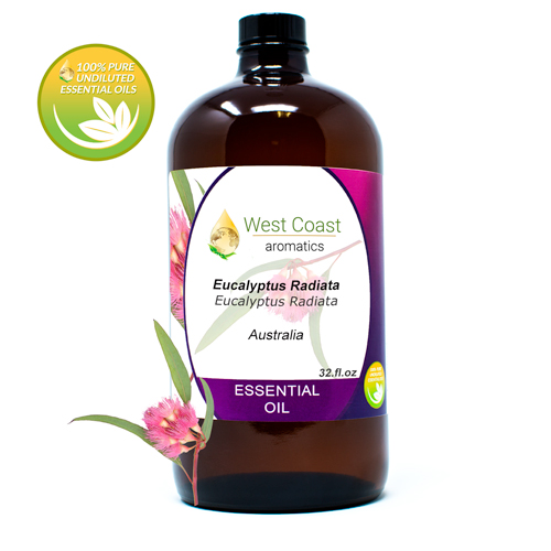 Essential-Oil_Eucalyptus-Radiata_Australia_32oz.jpg