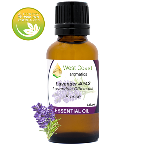 Essential-Oil_Lavender--40-42_France_1oz.jpg