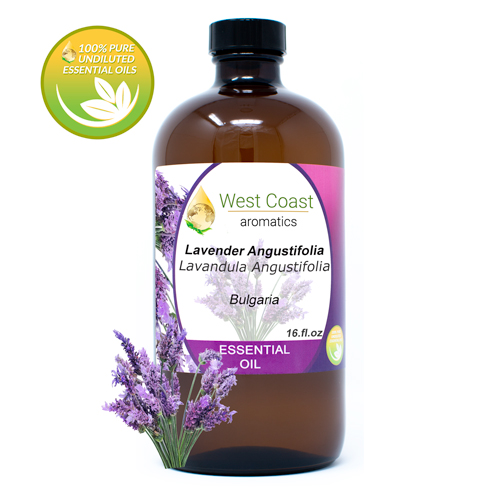 Lavender Angustifolia Premium (France)