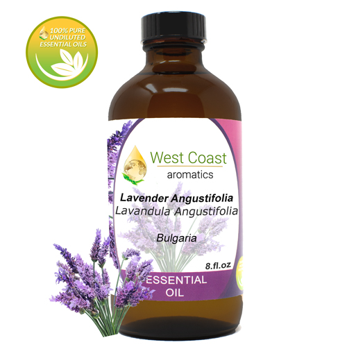 Lavender Angustifolia Premium (France)