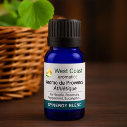 Synergy Essential Oils Navigation