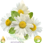 CHAMOMILE GERMAN BLUE pure essential oil. Shop West Coast Aromatics Bulk, Wholesale at www.westcoastaromatics.com from reputable sources in the world. Try today. You'll Immediately Notice the Difference! ✓60 Day-Money Back.