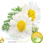 CHAMOMILE ROMAN (FRANCE)