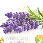 LAVENDER 40/42 Premium (FRANCE)