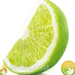 LIME (Italy)