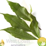 CLOVE LEAF (INDIA)