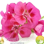 GERANIUM BOURBON pure essential oil. Shop West Coast Aromatics Bulk, Wholesale at www.westcoastaromatics.com from reputable sources in the world. Try today. You'll Immediately Notice the Difference! ✓60 Day-Money Back.
