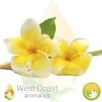 Frangipani Absolute Oil – Natural Floral Absolute for Aromatherapy and Perfumery