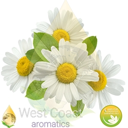 CHAMOMILE GERMAN BLUE pure essential oil. Shop West Coast Aromatics Bulk, Wholesale at www.westcoastaromatics.com from reputable sources in the world. Try today. You'll Immediately Notice the Difference! ✓60 Day-Money Back.