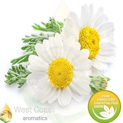 CHAMOMILE ROMAN pure essential oil. Shop West Coast Aromatics Bulk, Wholesale at www.westcoastaromatics.com from reputable sources in the world. Try today. You'll Immediately Notice the Difference! ✓60 Day-Money Back.