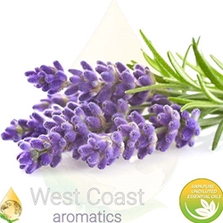 LAVENDER OFFICINALIS 40/42 pure essential oil. Shop West Coast Aromatics Bulk, Wholesale at www.westcoastaromatics.com from reputable sources in the world. Try today. You'll Immediately Notice the Difference! ✓60 Day-Money Back.