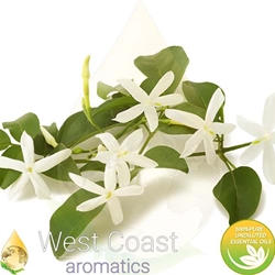 JASMINE GRANDIFLORUM absolute essential oil. Shop West Coast Aromatics Bulk, Wholesale at www.westcoastaromatics.com from reputable sources in the world. Try today. You'll Immediately Notice the Difference! ✓60 Day-Money Back.