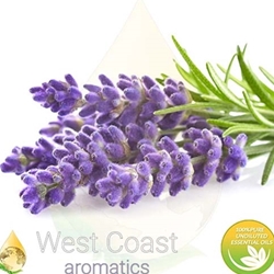 Lavender Officinalis 40/42 essential oil available in sizes from 1/2 oz to bulk drums for aromatherapy, blends, and wholesale orders – West Coast Aromatics