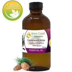 Essential-Oil_Cedarwood-Atlas_Morocco_8oz.jpg