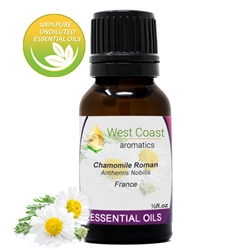 Essential-Oil_Chamomile-Roman_France_1-2oz.jpg