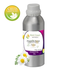 Essential-Oil_Chamomile-Roman_France_1 Kg.jpg