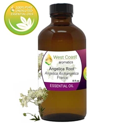 Essential-Oil_Angelica-Root_France_8oz.jpg