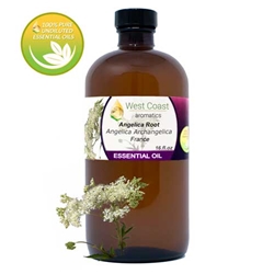 Essential-Oil_Angelica-Root_France_16oz.jpg