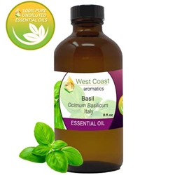 Essential-Oil_Basil_Italy_8oz.jpg