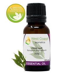 Essential-Oil_Clove-Leaf_India_1-2oz.jpg