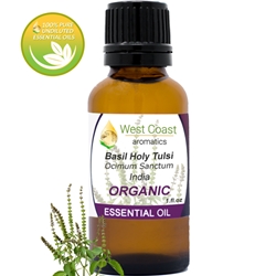 Essential-Oil_Basil_Holy_India_Organic_1oz.jpg