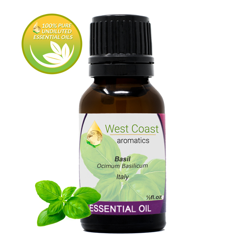 Essential-Oil_Basil_Italy_1-2oz.jpg