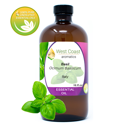 Essential-Oil_Basil_Italy_16oz.jpg