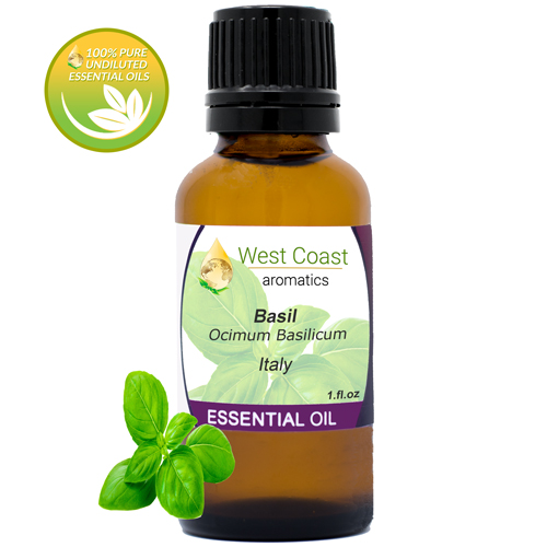 Essential-Oil_Basil_Italy_1oz.jpg