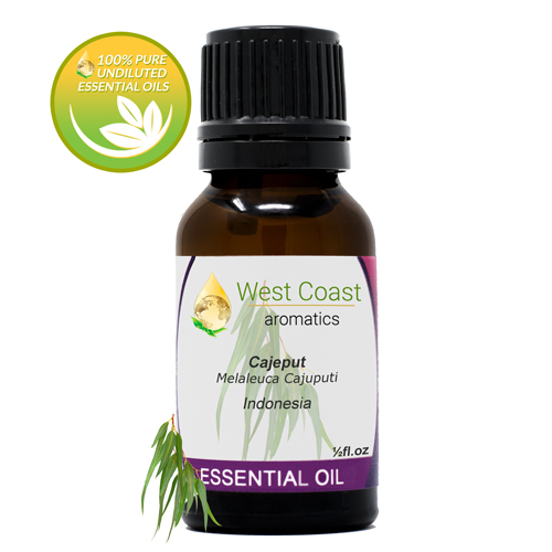 Essential-Oil_Cajeput_Indonesia_1-2oz.jpg