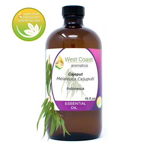 Essential-Oil_Cajeput_Indonesia_16oz.jpg