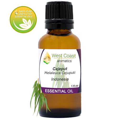 Essential-Oil_Cajeput_Indonesia_1oz.jpg