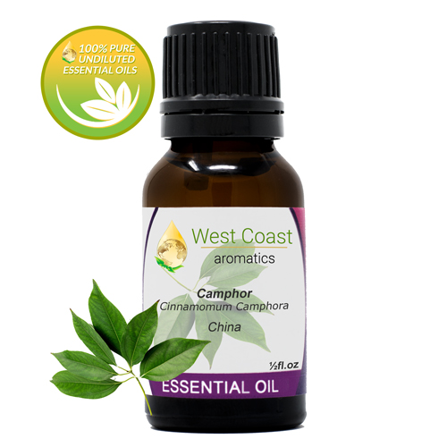 Essential-Oil_Camphor_China_1-2oz.jpg