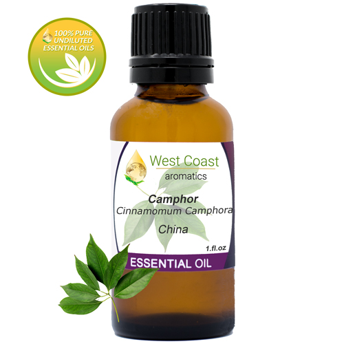 Essential-Oil_Camphor_China_1oz.jpg